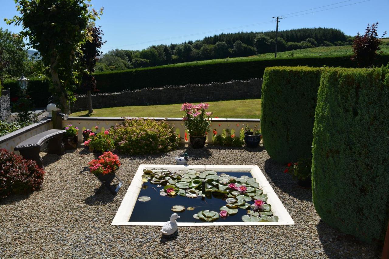 Weir View Bed And Breakfast Durrow Eksteriør bilde